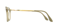 haffmans ＆ neumeister -optical- <br>[ bold collection ] <br>"fisher" col*412