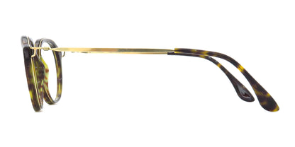 haffmans & neumeister<br>-optical-<br>[ bold collection ]<br>"kane"<br>color: 413